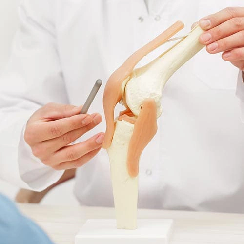 cirugía articular